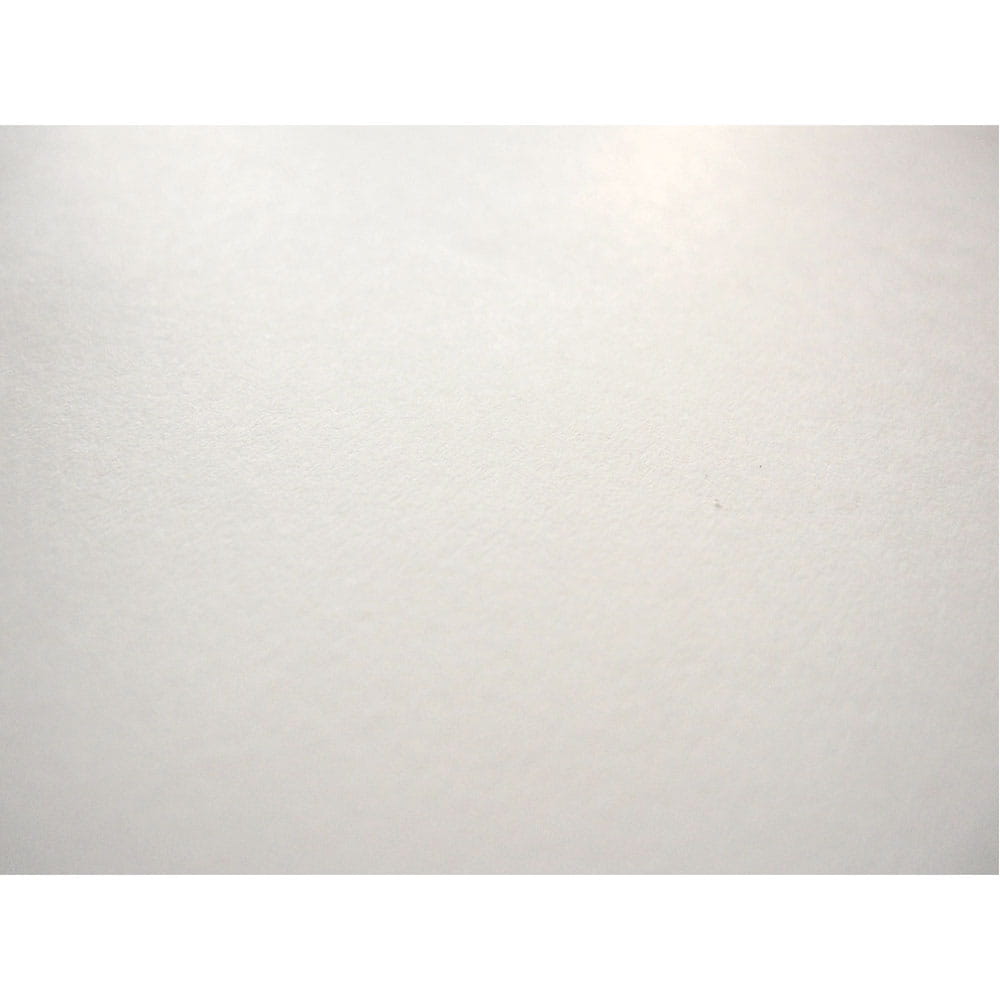 Cinta Adhesiva de Poliéster Doble Capa de .24 x 50 m Janel