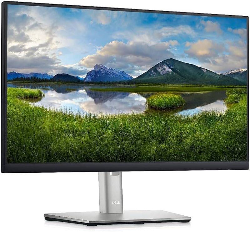 Monitor-DELL-P2225H---21.5-pulgadas-1920-x-1080-Pixeles-Negro