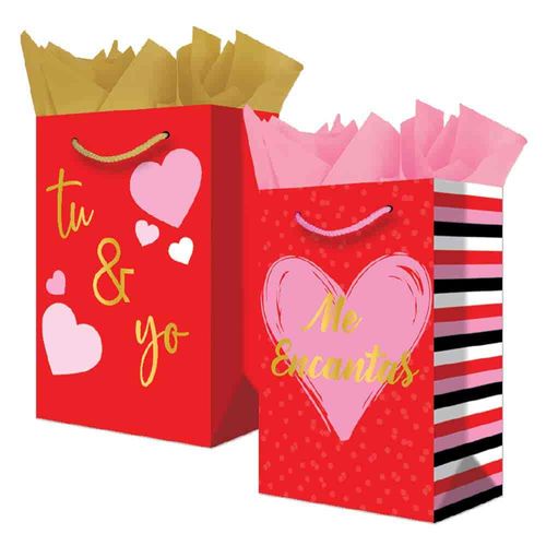 Bolsa de Cartón Regalo Grande de 25 x 36 x 11 cm Tu y Yo Granmark 878-558/6