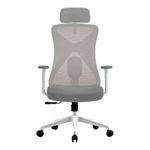 Silla-FLOE-PRO-EC737--ACTECK--ELITE-SERIES-Silla-de-Oficina--Ergonomica---Ajuste-lumbar-Reposa-brazos-Fijo-Color--Blanco.-AC-937245
